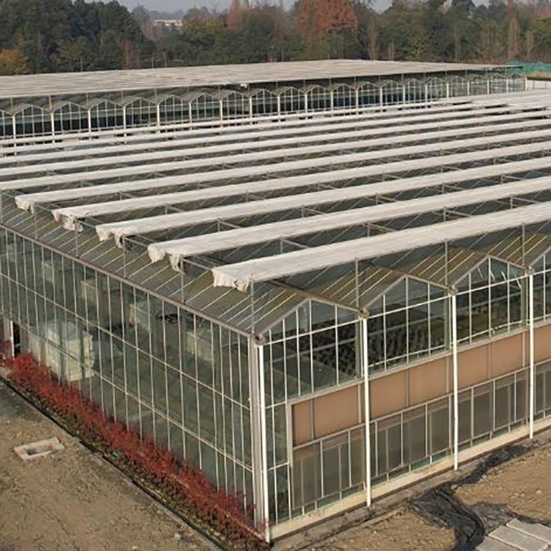 Special Offer Agriculture Greenhouse Agriculture Greenhouse Garden Greenhouse