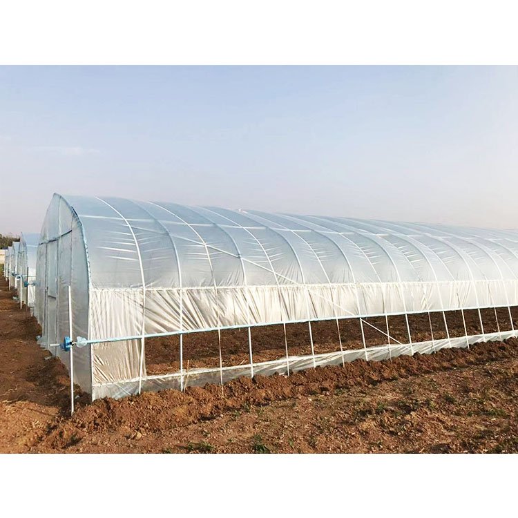 Low Cost Hot Dip Galvanized Frame Hydroponic Commercial Mini Single Span Plastic Film Tunnel Greenhouse House