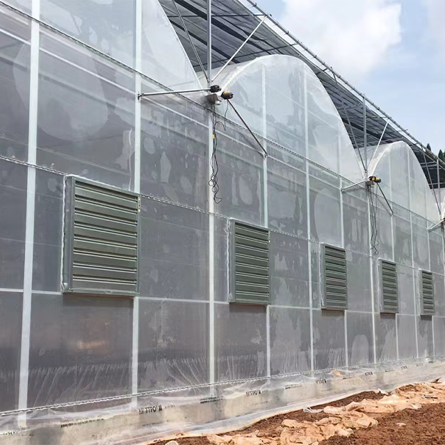 Low-Cost Multi-Span Agricultural Greenhouses for Vegetable Growing Waterproof Hothouse for Plant Cultivation