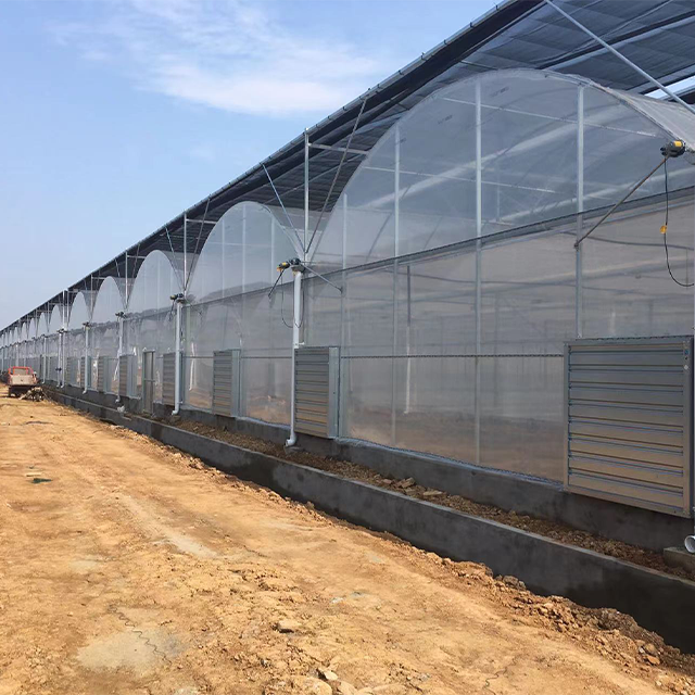 Low-Cost Multi-Span Agricultural Greenhouses for Vegetable Growing Waterproof Hothouse for Plant Cultivation