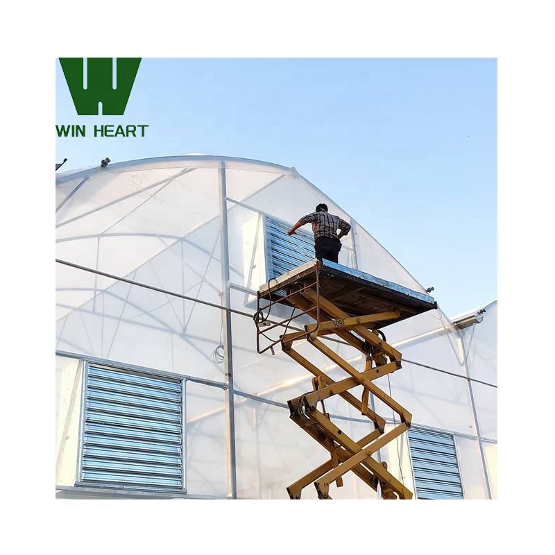 Agricultural Multi-span hoop greenhouse 20-100m commercial Plastic Film greenhouse