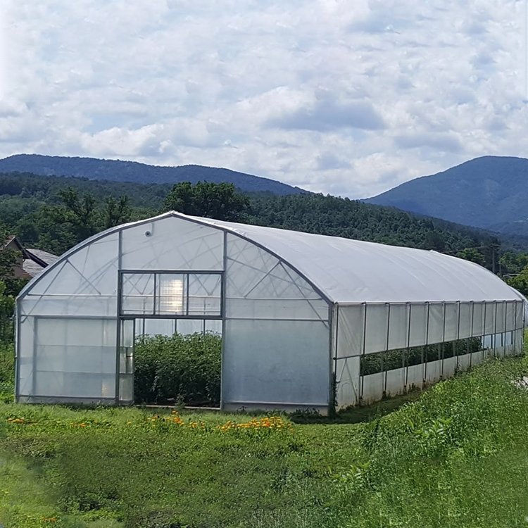 Agricultural Plastic PEP Film Single-span High Tunnel Agriculture Greenhouse With Ventilation System