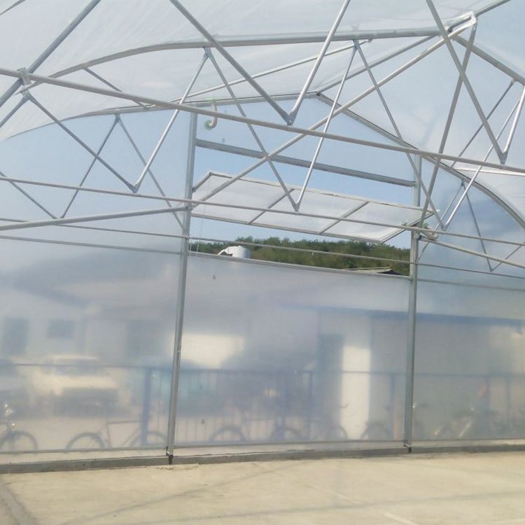 Agricultural Plastic PEP Film Single-span High Tunnel Agriculture Greenhouse With Ventilation System