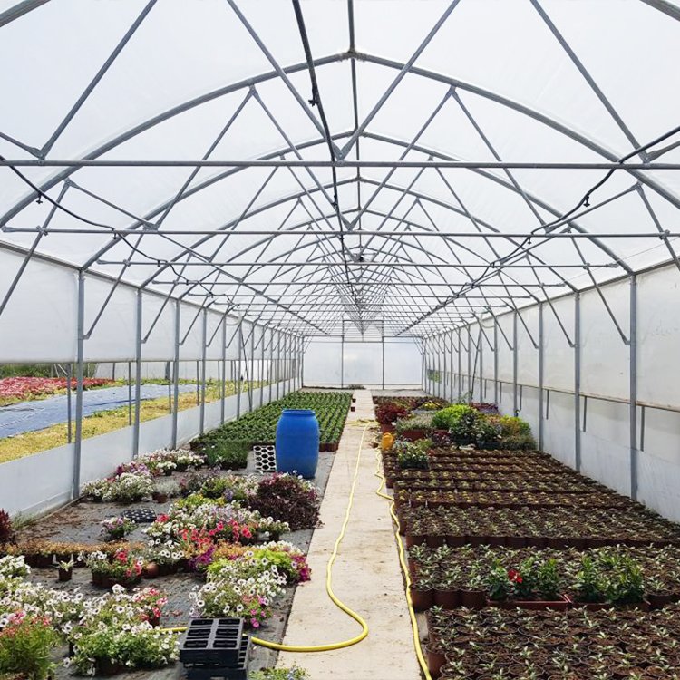 Agricultural Plastic PEP Film Single-span High Tunnel Agriculture Greenhouse With Ventilation System