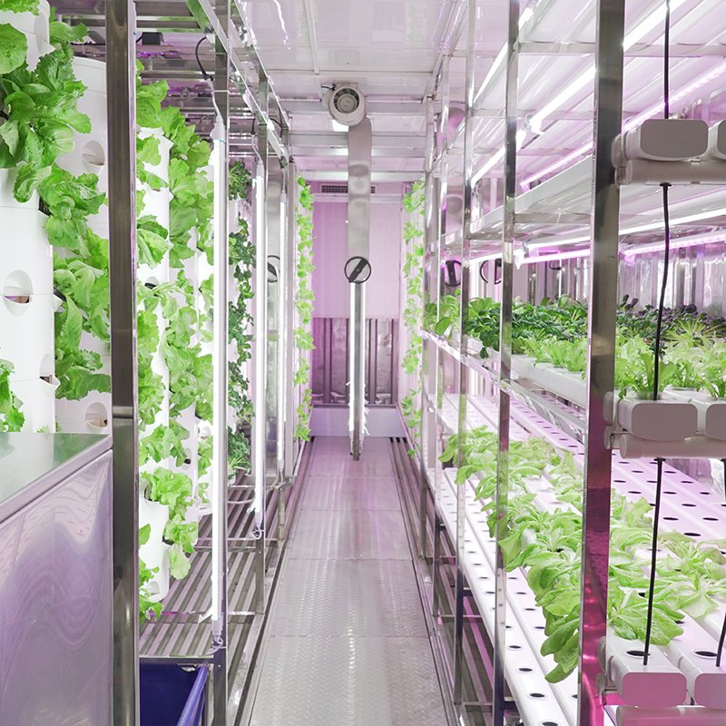 Greenhouse Smart Vegetable Grow Containers Hydroponic Vertical Farming System 40ft Shipping Container Farm
