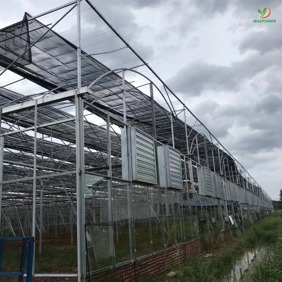 Multi-span large commercial glass greenhouse agricultural for sale ,tomato , potato ,blueberry growing