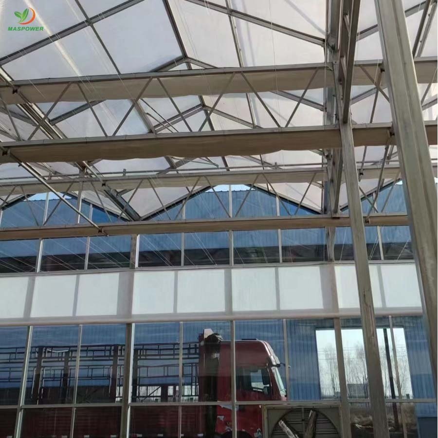 Multi-span large commercial glass greenhouse agricultural for sale ,tomato , potato ,blueberry growing