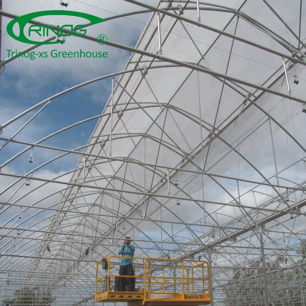 Tomato greenhouse agriculture for farm