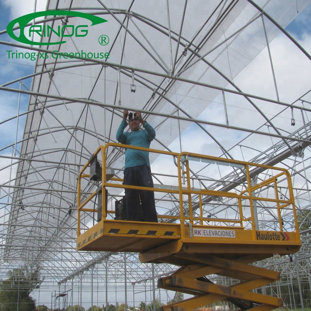 Tomato greenhouse agriculture for farm