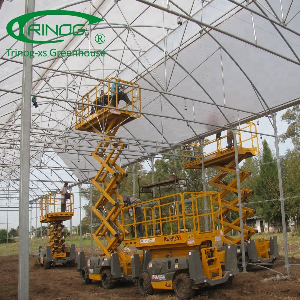 Tomato greenhouse agriculture for farm