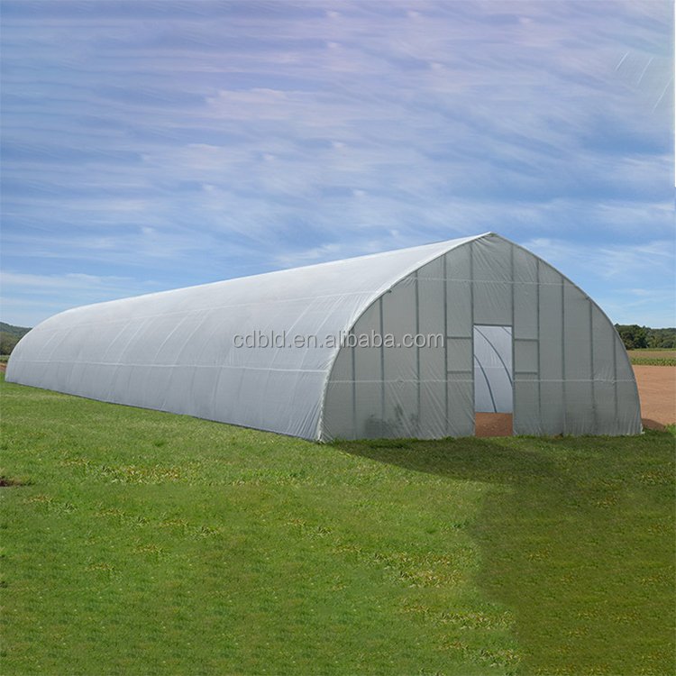 8x30 Meter Agricultural Commercial Vegetable Plastic Film Tunnel Greenhouse For Tomato Rose Mushroom