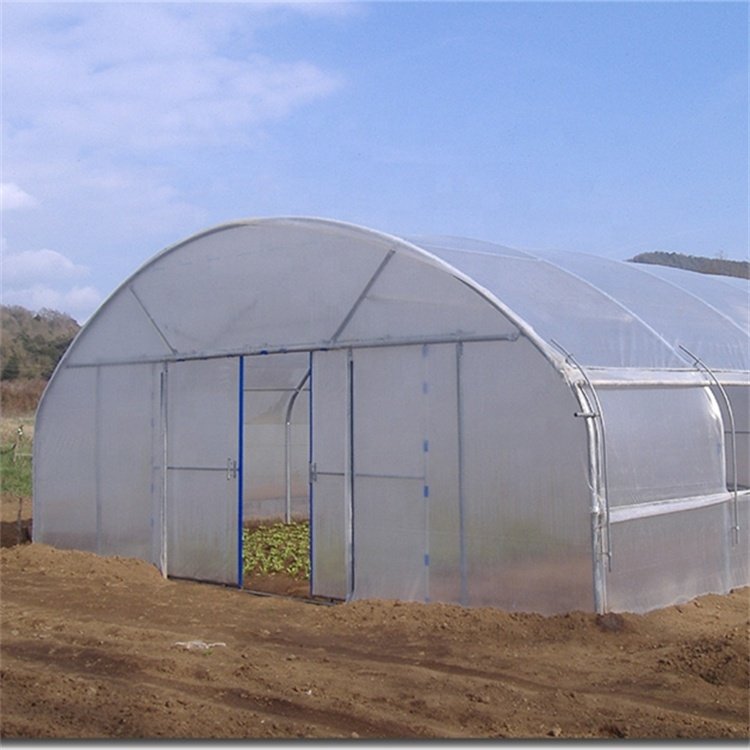 8x30 Meter Agricultural Commercial Vegetable Plastic Film Tunnel Greenhouse For Tomato Rose Mushroom