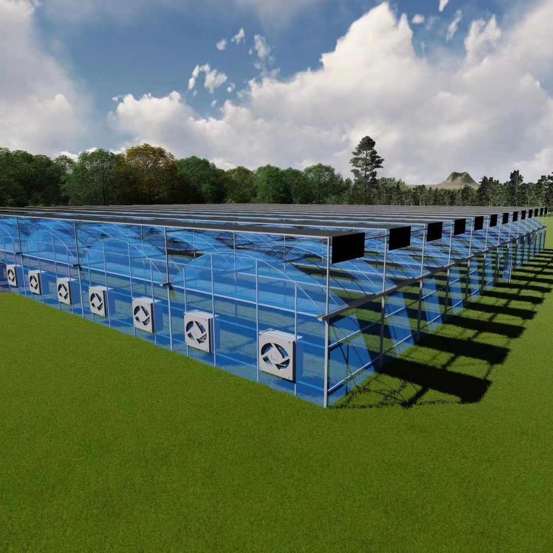 Agriculture Greenhouse Frame Multispan Vegetables Growing Tunnel Multi Span Film Greenhouse