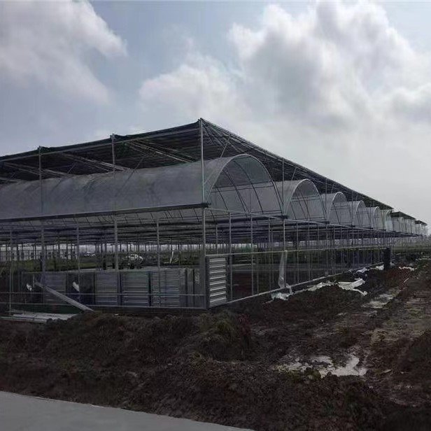 Agriculture Greenhouse Frame Multispan Vegetables Growing Tunnel Multi Span Film Greenhouse