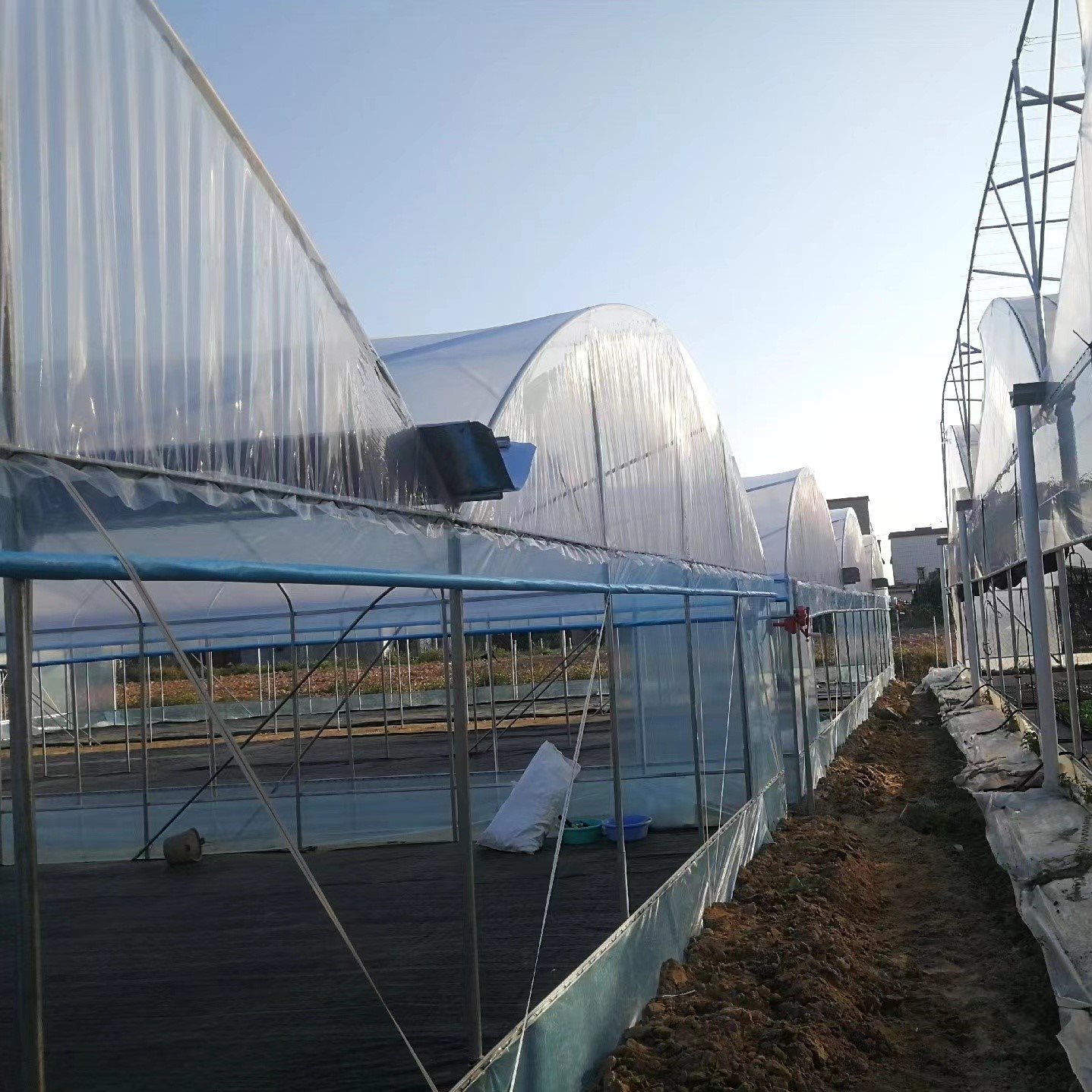 Agriculture Greenhouse Frame Multispan Vegetables Growing Tunnel Multi Span Film Greenhouse