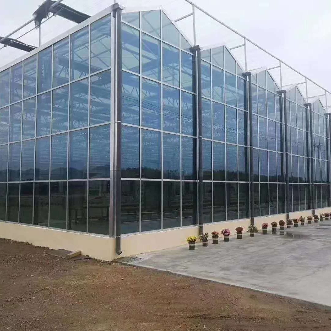 Agricultural Multi Span/Single Span PC film cover greenhouse Complete Set for customize agricultural Greenhouse