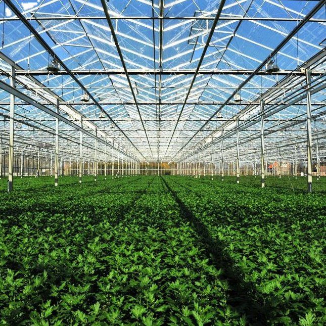 Agricultural Multi Span/Single Span PC film cover greenhouse Complete Set for customize agricultural Greenhouse