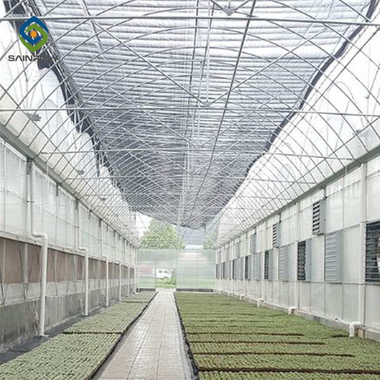 Sainpoly High Quality Galvanized Steel Frame Large Economical Plastic Film Greenhouse Hydroponic Agriculture Plant Care Green