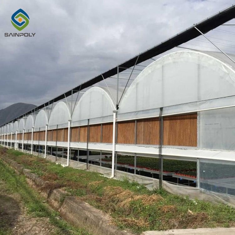 Sainpoly High Quality Galvanized Steel Frame Large Economical Plastic Film Greenhouse Hydroponic Agriculture Plant Care Green