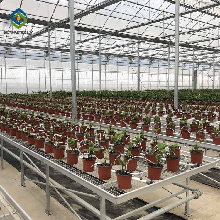 Sainpoly High Quality Galvanized Steel Frame Large Economical Plastic Film Greenhouse Hydroponic Agriculture Plant Care Green
