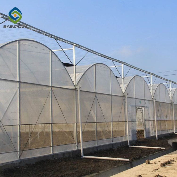 Sainpoly High Quality Galvanized Steel Frame Large Economical Plastic Film Greenhouse Hydroponic Agriculture Plant Care Green