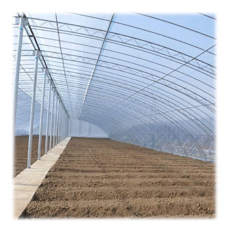 Plastic Film Multi-span Agricultural Greenhouse commercial greenhouse kits