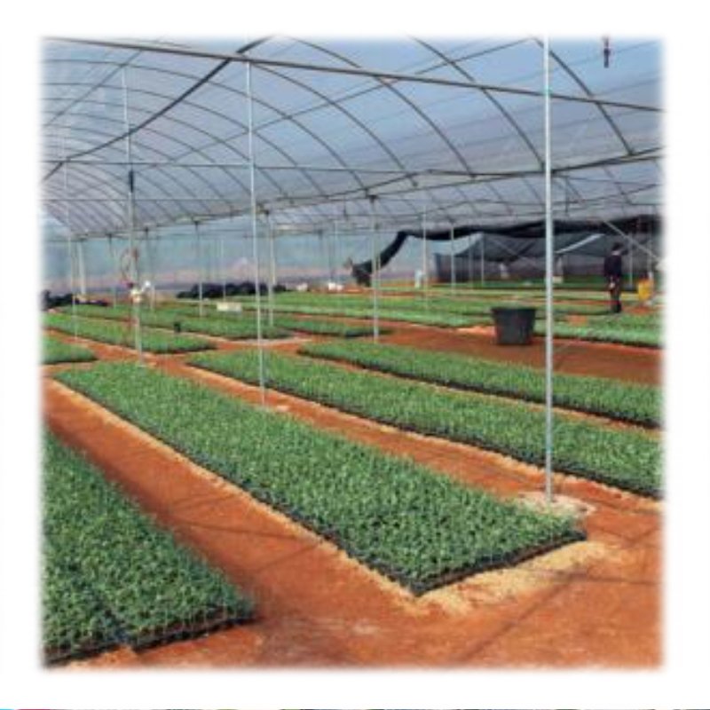 Plastic Film Multi-span Agricultural Greenhouse commercial greenhouse kits