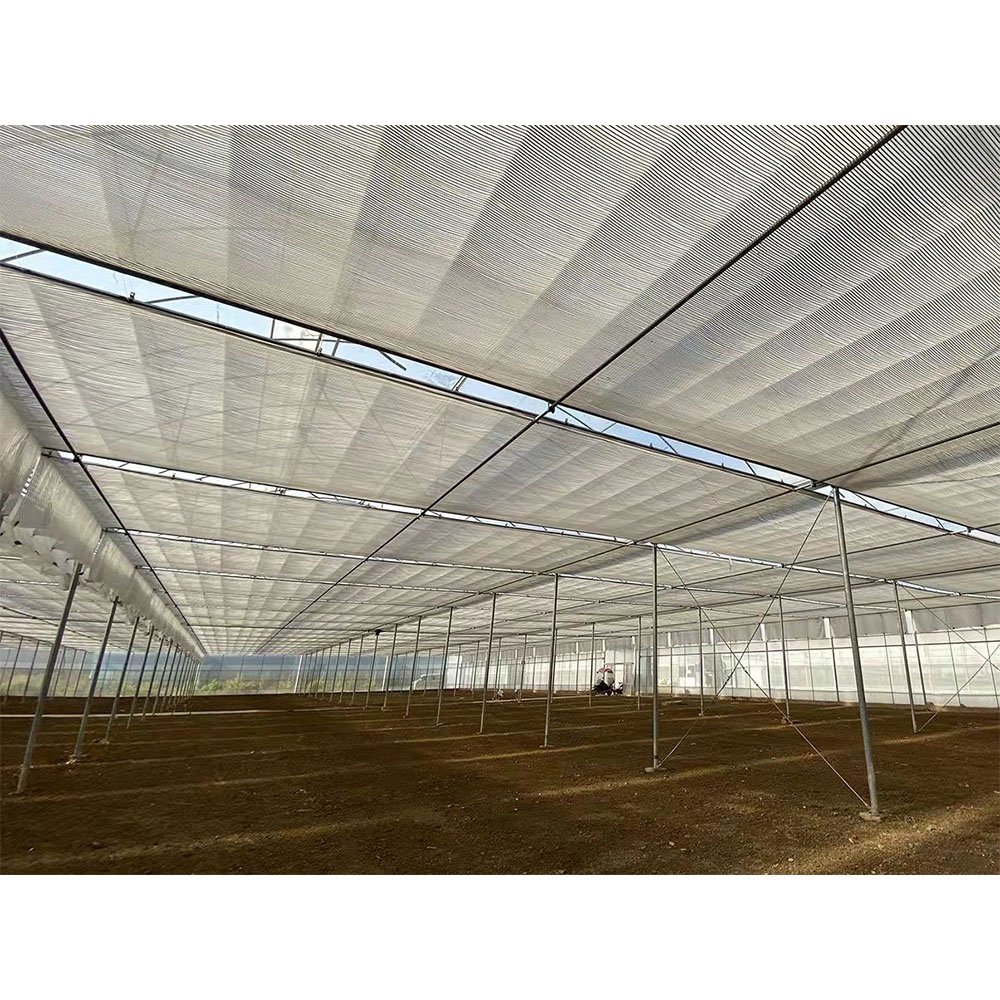 Large Multi Span Hydroponic Agricultural Greenhouse For Vegetables Tomato Strawberry Growing