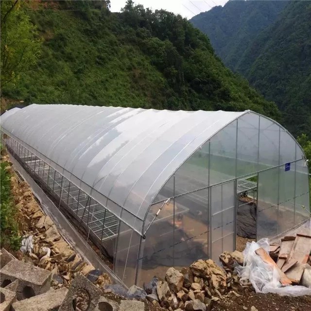 Factory Supplier Simply skeleton plastic film polytunnel green house single-span grow vegetable greenhouse for agriculture