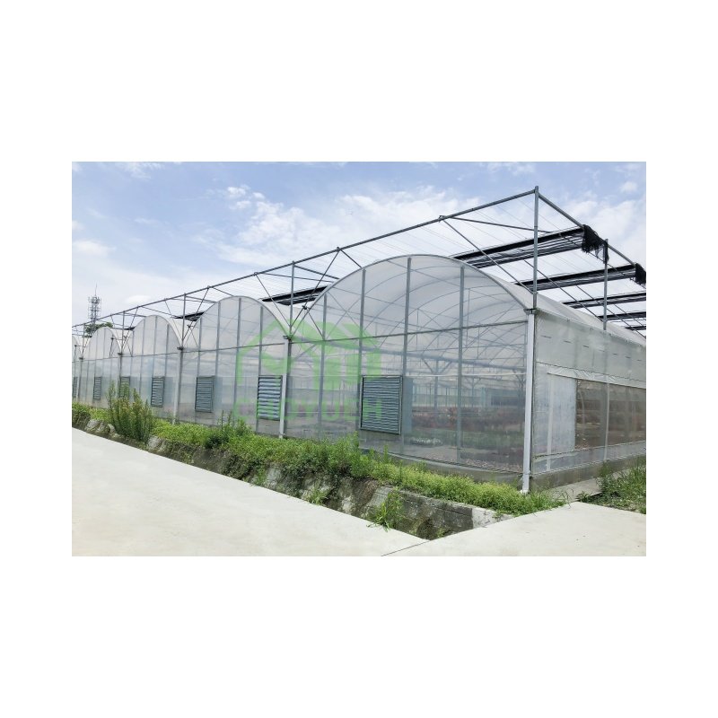 CHOYUEH Agriculture Multi-span Plastic film tunnel greenhouse with sides top ventilation fruits planting vegetable growing