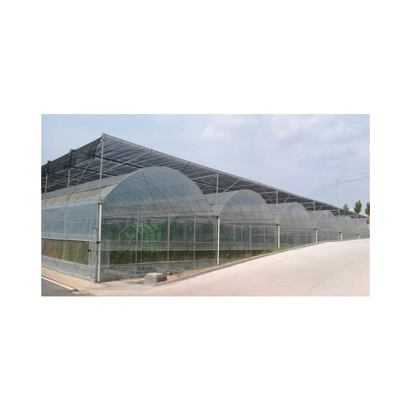 CHOYUEH Agriculture Multi-span Plastic film tunnel greenhouse with sides top ventilation fruits planting vegetable growing
