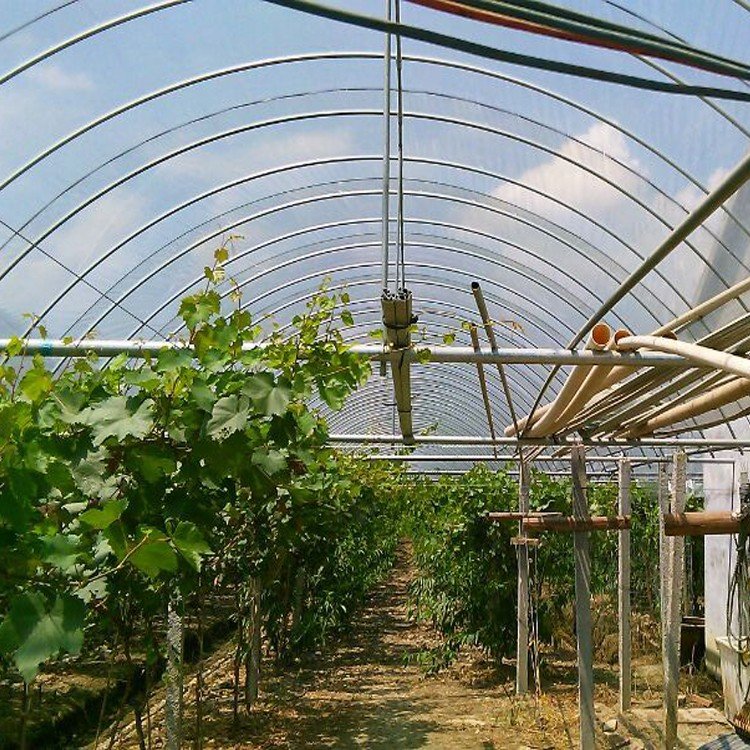 Plastic film uv resistant single greenhouse for hydroponics system