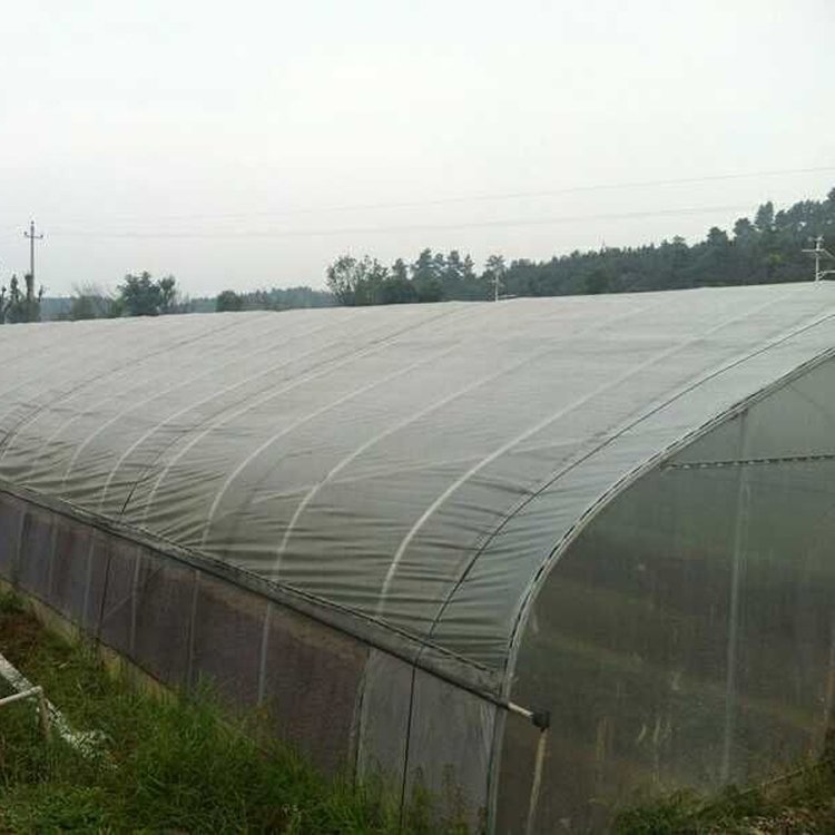 Plastic film uv resistant single greenhouse for hydroponics system