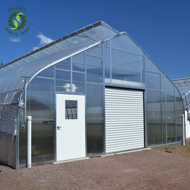 New Promotion Tunnel Greenhouse Agricultural Greenhouses Agricultural Film Single-Span Type Tunnel Greenhouse