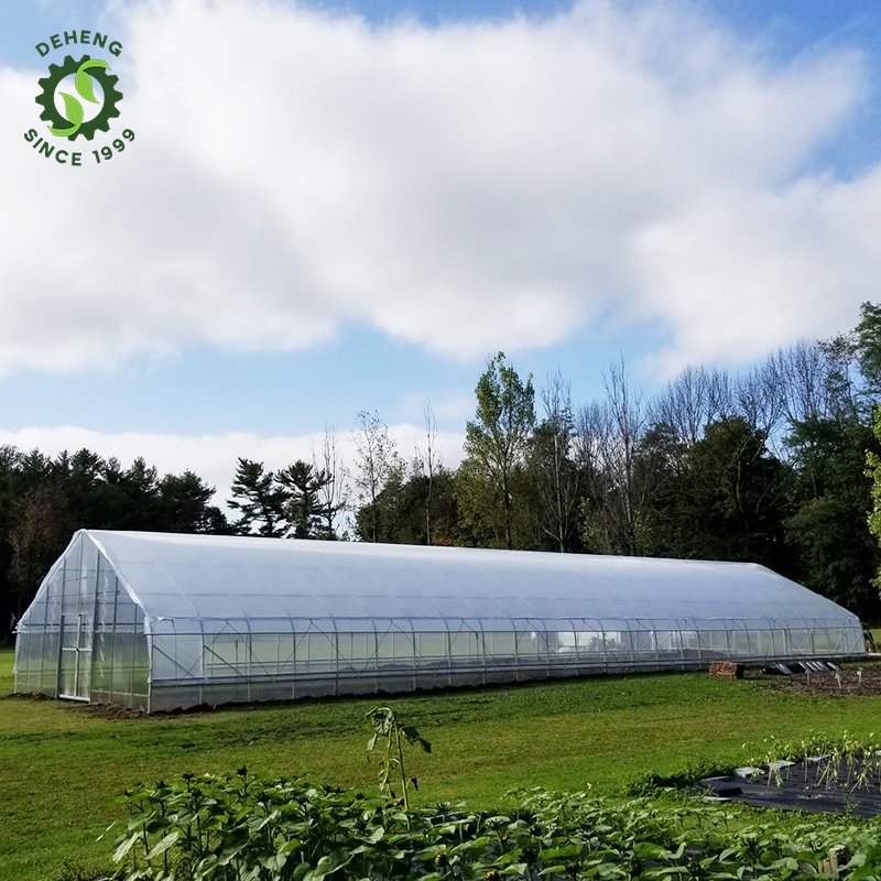 New Promotion Tunnel Greenhouse Agricultural Greenhouses Agricultural Film Single-Span Type Tunnel Greenhouse
