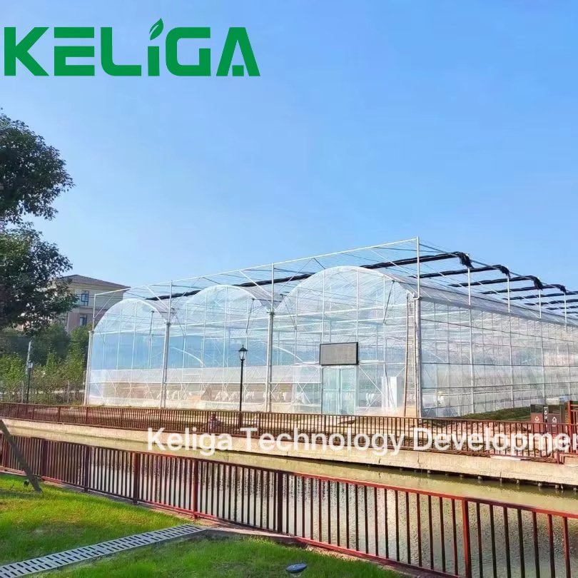Agricultural Greenhouse Commercial Greenhouse Intelligent Multi-Span Greenhouse