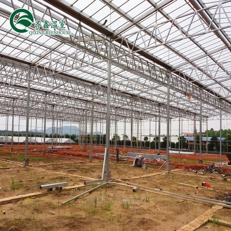 venlo Galvanized Steel Pipe Greenhouse with tower garden