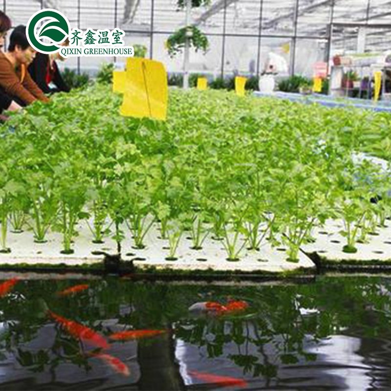 venlo Galvanized Steel Pipe Greenhouse with tower garden