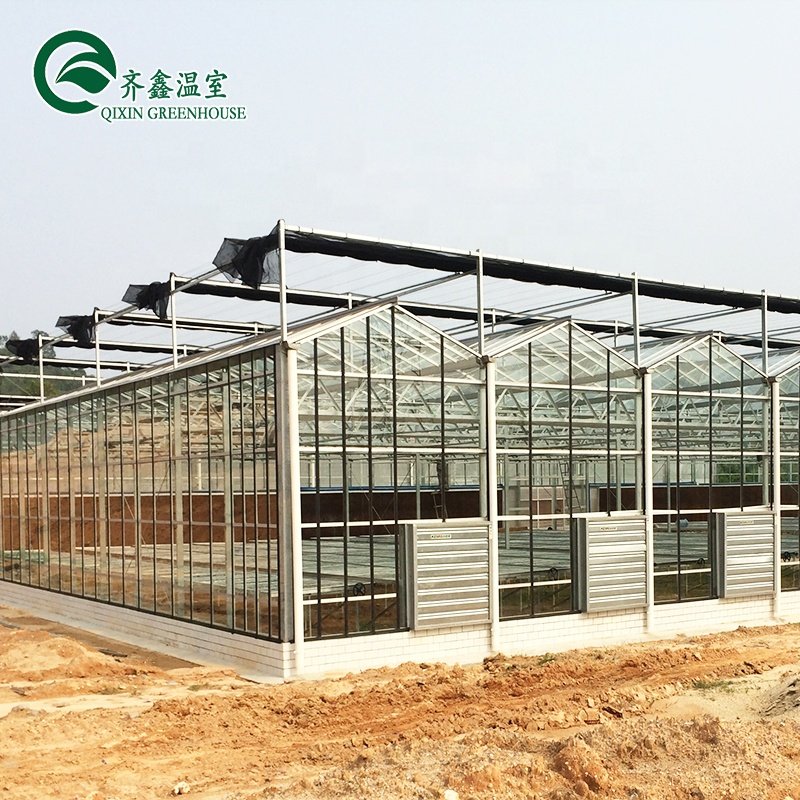 venlo Galvanized Steel Pipe Greenhouse with tower garden