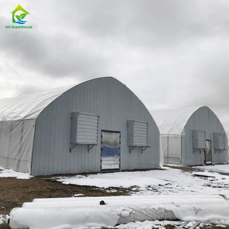 Durable 100% Light Deprivation Industrial Fully Automated Lettuce Mushroom Poly Tunnel Agricultural Greenhouse