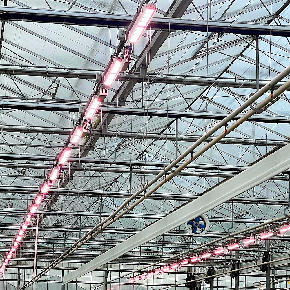 Best Selling High Quality Agricultural Greenhouses Easy Assembly Plant Growing Cheap Plastic Ventilation PE Film Material