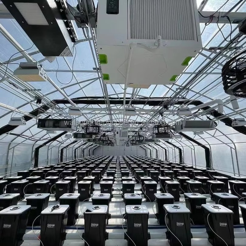 Walson Light Deprivation Greenhouse For Sale Commercial Plastic Film Blackout Greenhouse