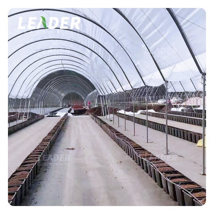 Cost Effective Galvanized Structure Special Oval Hoops Bend Scalable Retrofit Options Poly Tunnel Greenhouse For Berry Planting