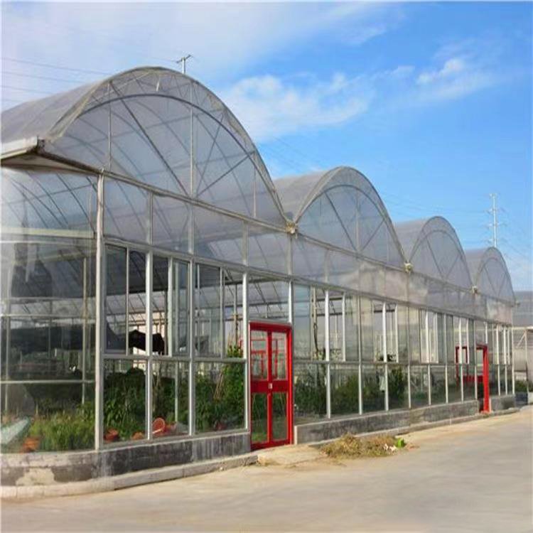 Manufactures Plastic Polytunnel Tomato Green house multi span Film Agriculture Low Cost Tunnel Greenhouse For Sale