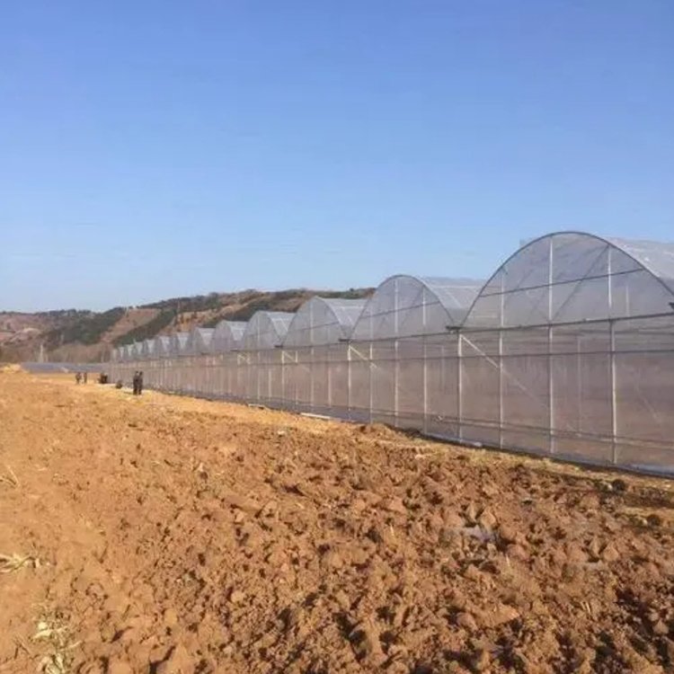 Manufactures Plastic Polytunnel Tomato Green house multi span Film Agriculture Low Cost Tunnel Greenhouse For Sale
