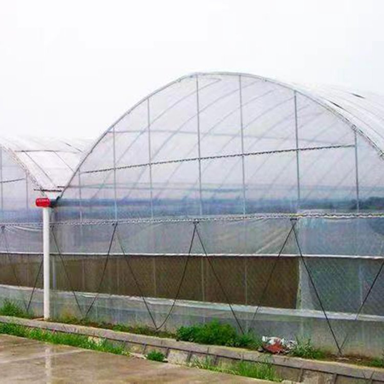 Manufactures Plastic Polytunnel Tomato Green house multi span Film Agriculture Low Cost Tunnel Greenhouse For Sale