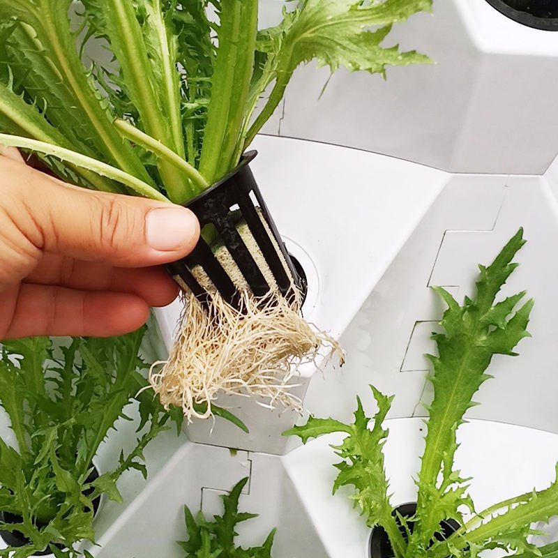 New Agricultural Greenhouse Rotary Aeroponic Tower Garden Vertical Hydroponic System For Planting