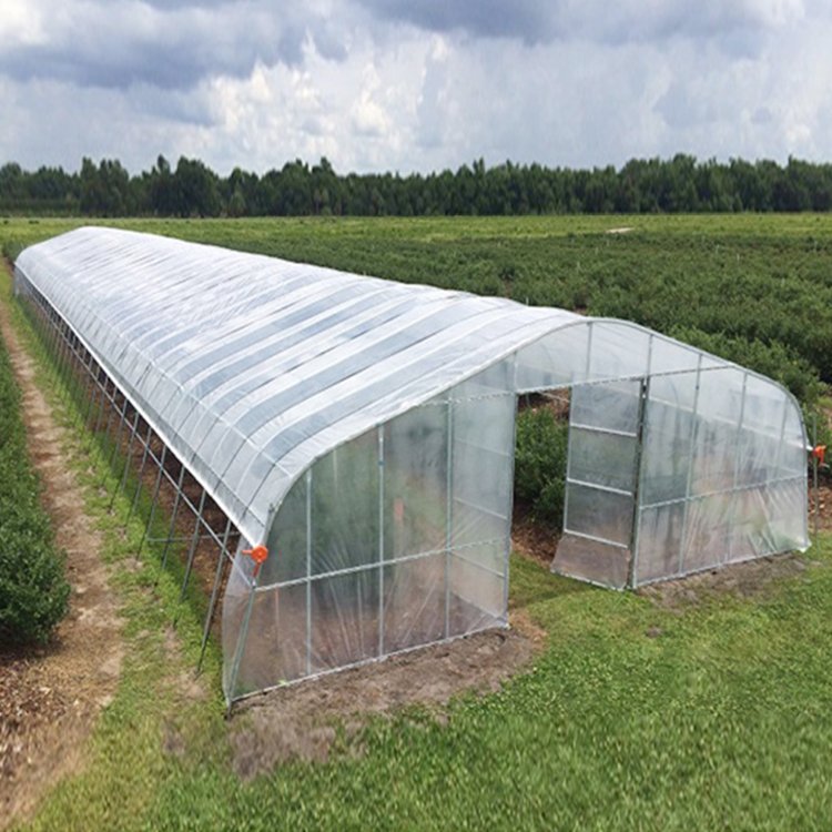 Arched Shed Round Arch Single Shed Plant Growing Greenhouse Design Plastic Tunnel Single Span Agricultural Greenhouse