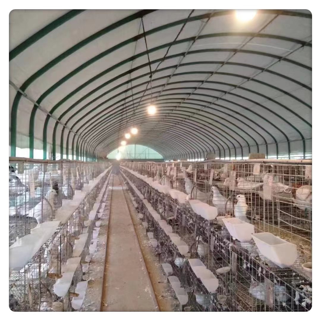 High Performance Large Livestock Farm Poultry Tunnel Style Durable Steel Film Material Agriculture Plant Use Breeding Greenhouse