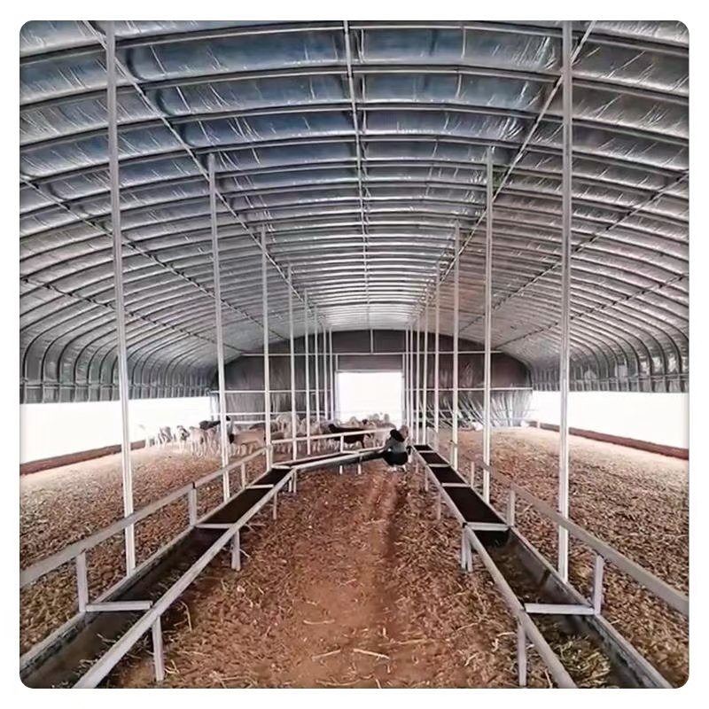 High Performance Large Livestock Farm Poultry Tunnel Style Durable Steel Film Material Agriculture Plant Use Breeding Greenhouse